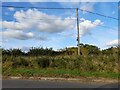 Telegraph pole and wires on Cuddington Road