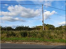 SP7611 : Telegraph pole and wires on Cuddington Road by David Howard