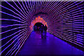 SD8304 : Light Tunnel at Heaton Park (Lightopia 2021) by David Dixon