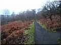 Garscadden Wood