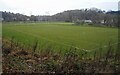 Football pitch, Colquhoun Park