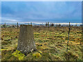 Lawel Hill trig point