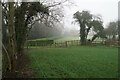 Footpath to Snitterfield