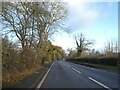 Autumn colour by A49 south of Hadnall