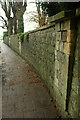 Wall buttresses, Durdham Park, Bristol