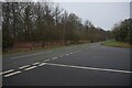 Wood Road from Country Lane