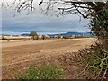 Farmland north of Waggon Lane