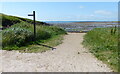 NO4600 : The Fife Coastal Path at Shell Bay by Mat Fascione