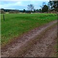 2nd Tee: Lanark Golf Course