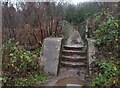 Footbridge over Afon Rhymni