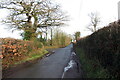 Cyffordd ger Cefnglasfryn / Junction  near Cefnglasfryn