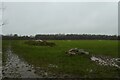 Playing Fields at Killinghall Moor