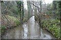 Upstream along Oak Beck