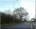 Wrexham Road (A525) west of Whitchurch