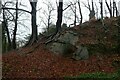 Beech trees above the former quarry