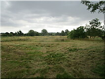 TL9369 : Water meadow near Pakenham Watermill by Jonathan Thacker