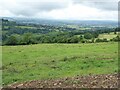 View from Hanging Hill