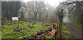 Garden Area, Highbury Community Orchard