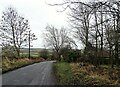 Looking down Knitsley Lane