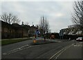 Winter trees in Station Approach