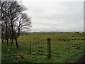 Fields beside Knitsley Lane