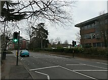 TQ0058 : Traffic lights in Guildford Road by Basher Eyre