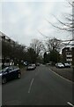 Winter trees in Hill View Road