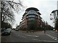 Approaching the fork of Constitution Hill and Guildford Road