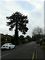 Looking south-southeast along Mount Hermon Road