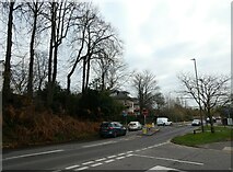 TQ0057 : Junction of Turnoak Avenue and Wych Hill Lane by Basher Eyre