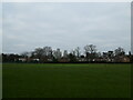 Cricket pitch in Woking Park