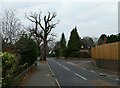 Looking back to the junction of Bylands and White Rose Lane