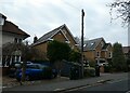 Telegraph pole in White Rose Lane