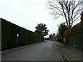 Hedges in Heathfield Road