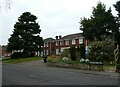 Tree in Heathside Road