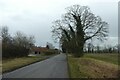 Road near Primrose Hill