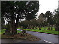 Cemetery, Greenock