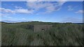 Pillbox, Charlestown, Aberdeenshire