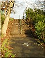 Steps up to the old bowling greens and tennis courts