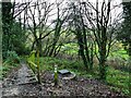 Steps into Brook Wood