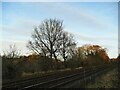 Railway line alongside the Oakmere Way