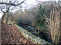 Bradford Beck, Shipley Fields, Shipley