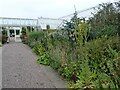 Herbaceous border on the entrance to Abbeywood Gardens