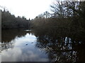 Pond near Frith Farm