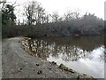 The dam of the pond near Frith Farm