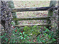 Stone Stile, Harescombe