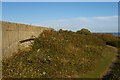 TM2831 : Landguard Fort: on top of Right Battery by Christopher Hilton