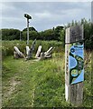 Interpretative hardware, nature reserve near Seaton