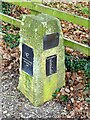 Commemorative Millennium stone in Sanday