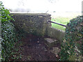 Stone Stile, Rodborough Common